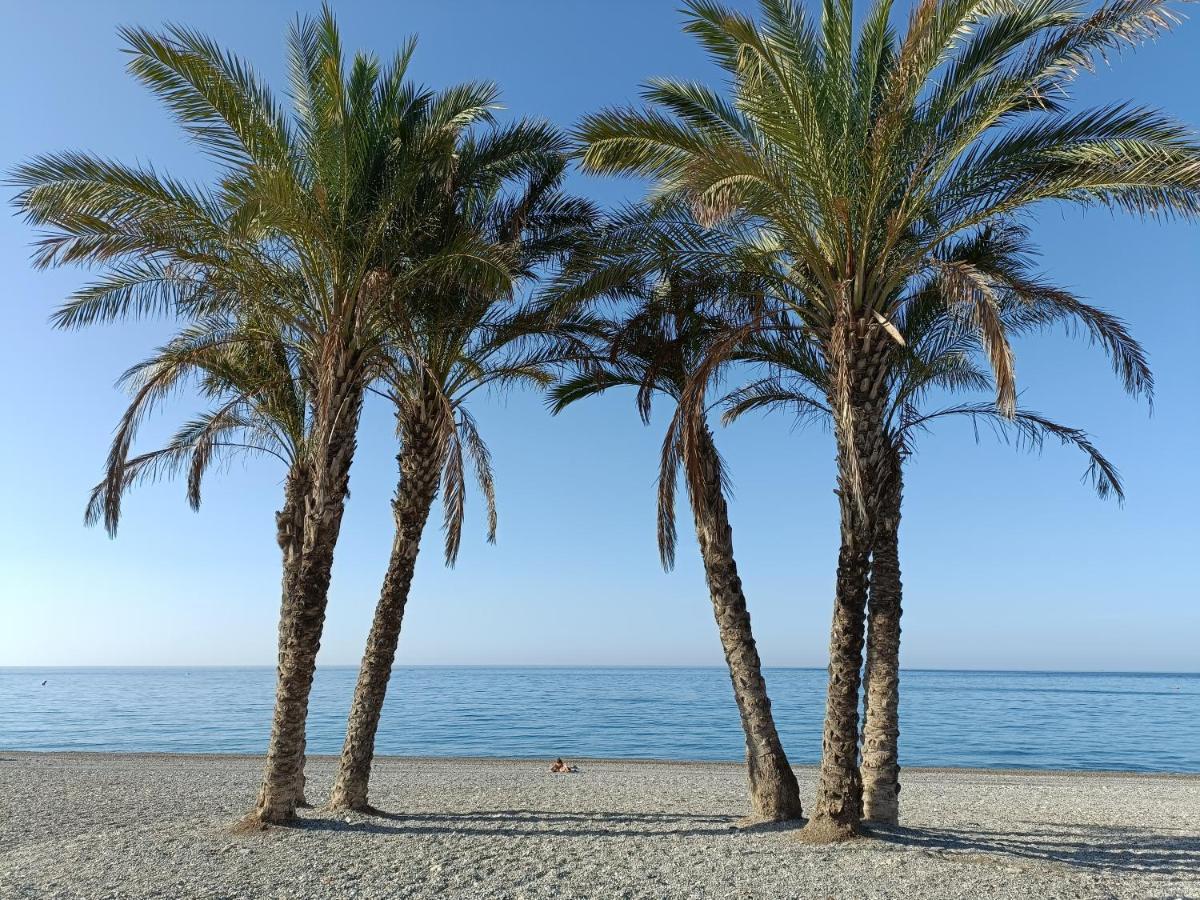 Apartamento Maravilla Tropical - La Herradura Almuñécar Exteriör bild